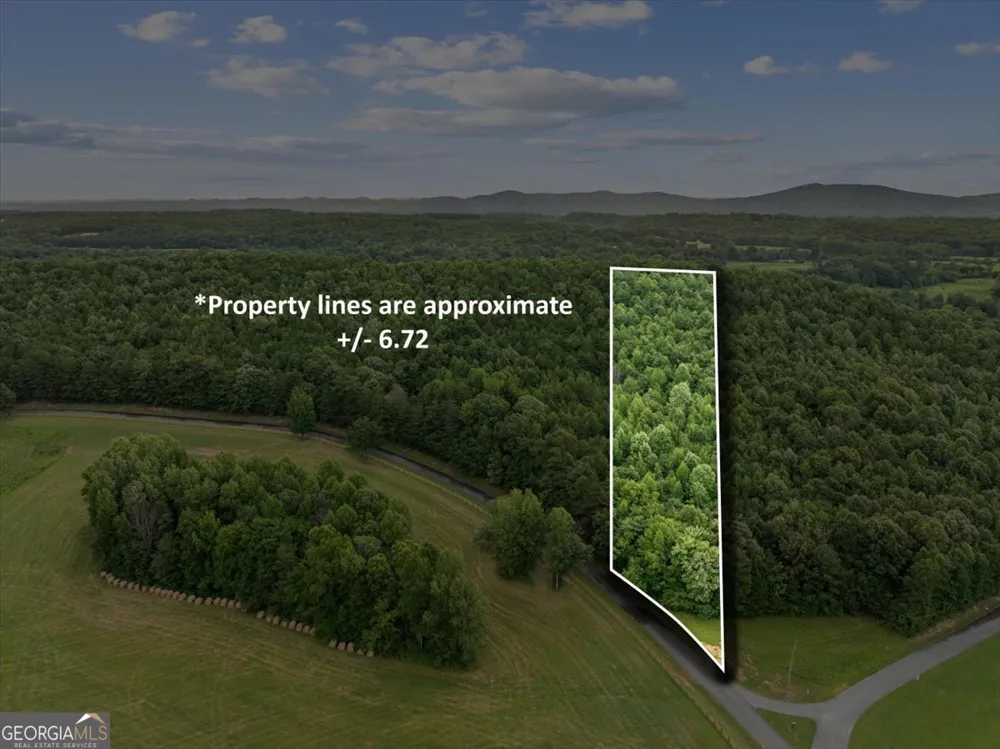 0 Fricks Gap RD Chickamauga, GA 30707