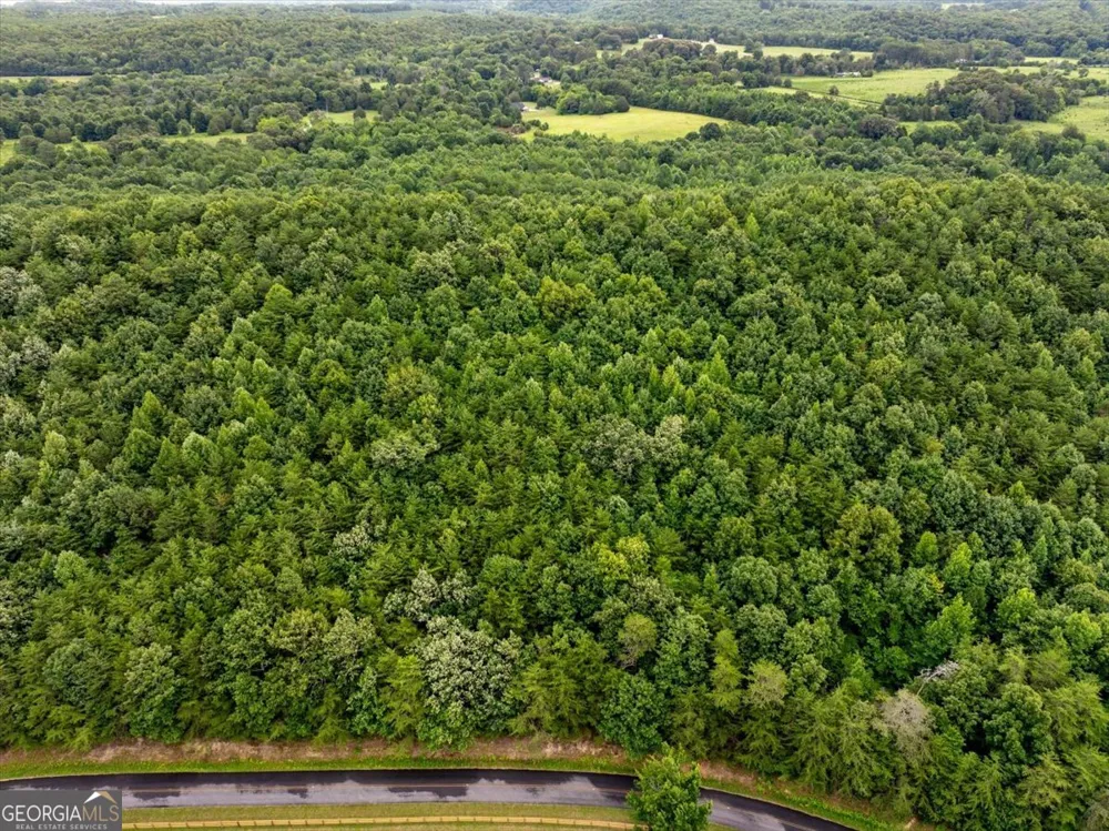 0 Fricks Gap RD Chickamauga, GA 30707