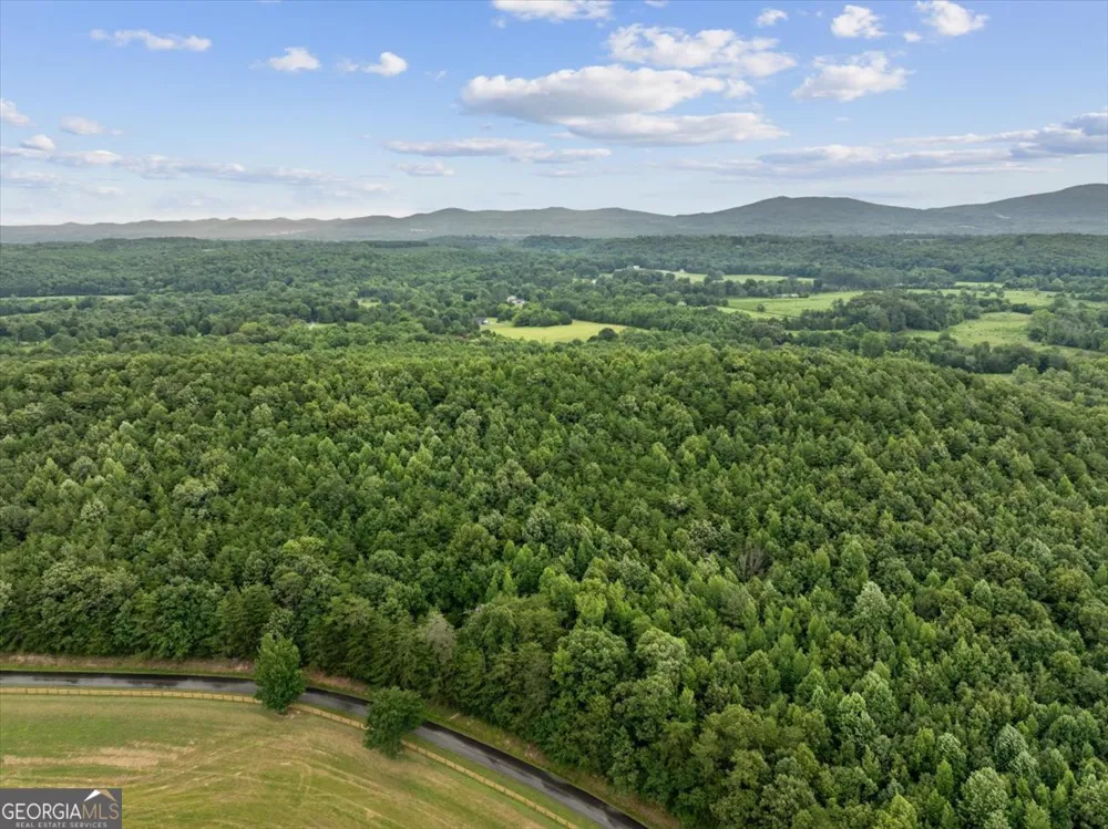 0 Fricks Gap RD Chickamauga, GA 30707