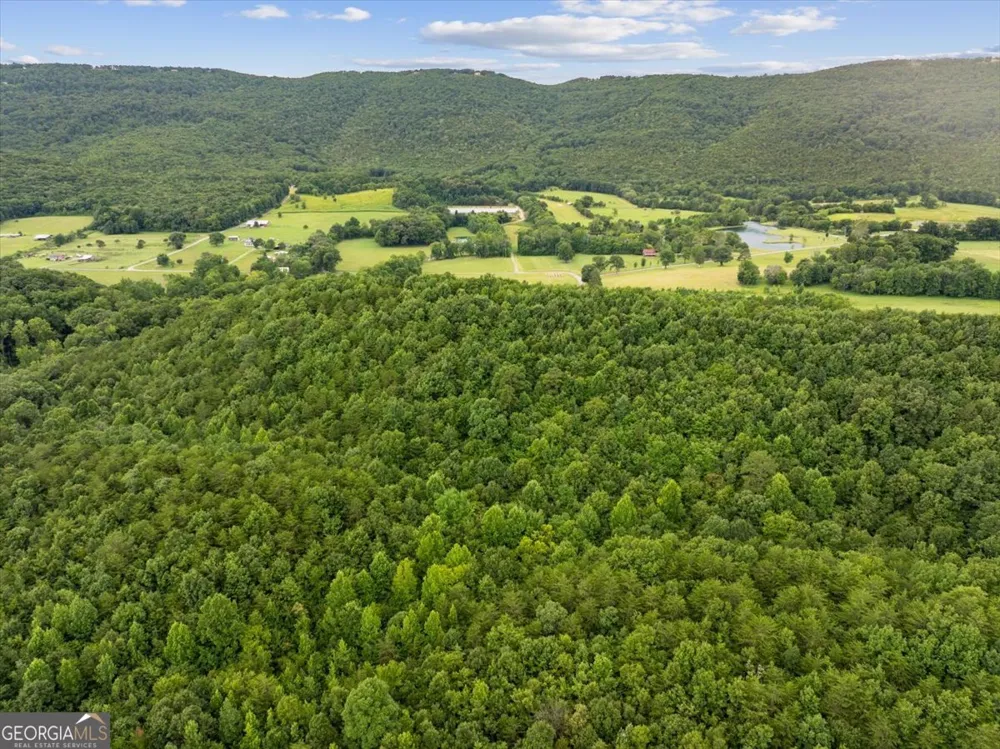0 Fricks Gap RD Chickamauga, GA 30707