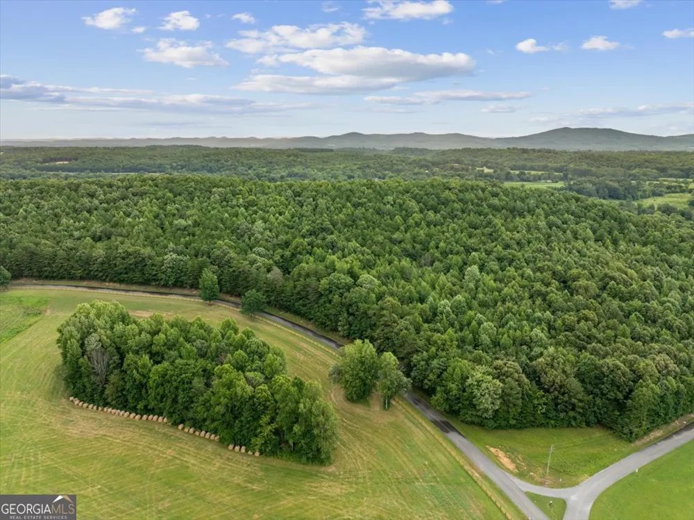 0 Fricks Gap RD Chickamauga, GA 30707