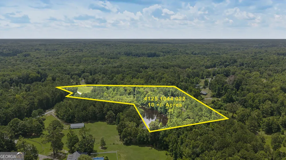 LOT 1 Bradleys Line DR Senoia, GA 30276
