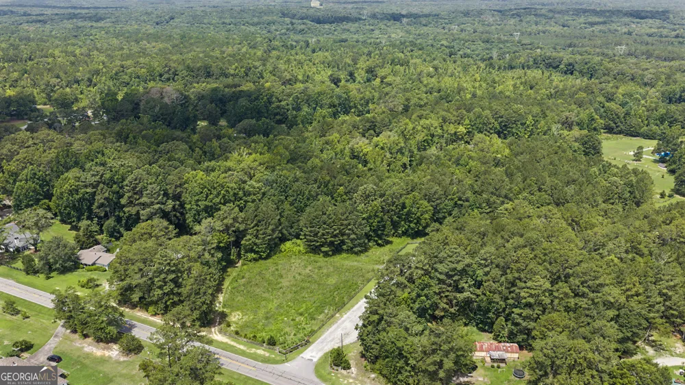LOT 1 Bradleys Line DR Senoia, GA 30276
