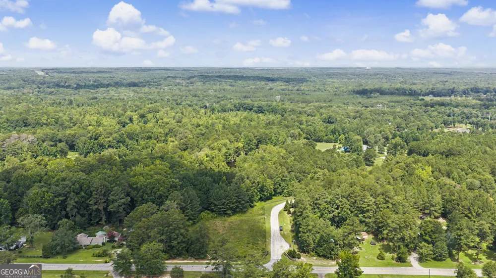 LOT 1 Bradleys Line DR Senoia, GA 30276