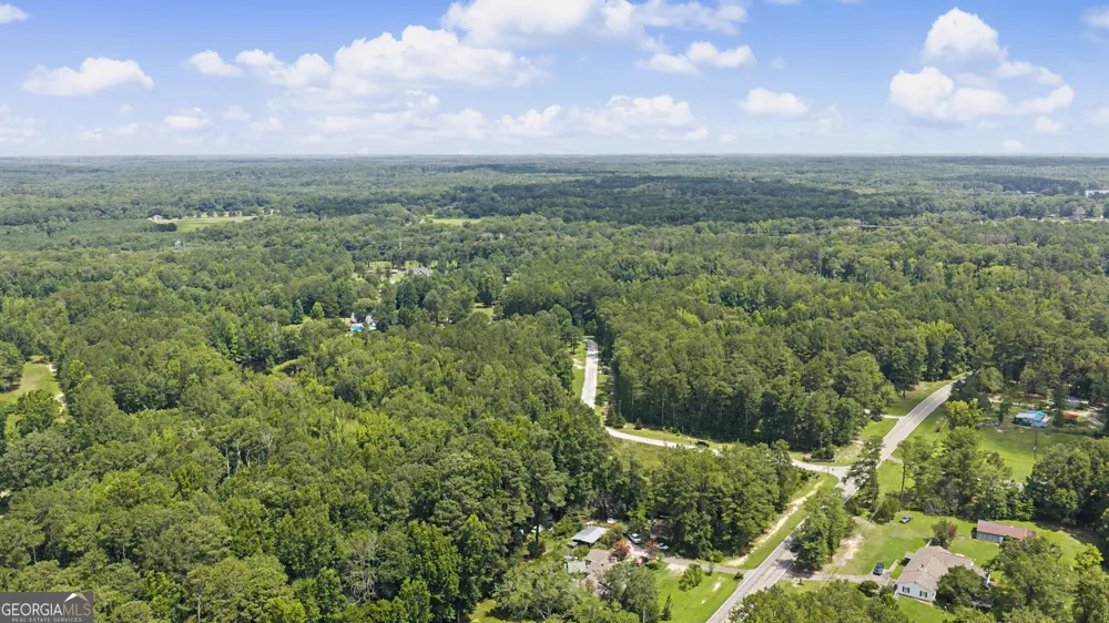 LOT 1 Bradleys Line DR Senoia, GA 30276