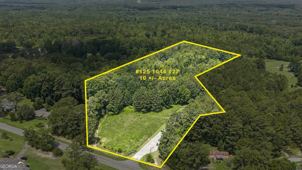 LOT 1 Bradleys Line DR Senoia, GA 30276