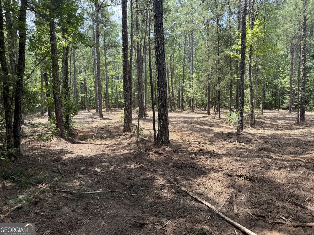 0 S Highway 92 Fayetteville, GA 30215