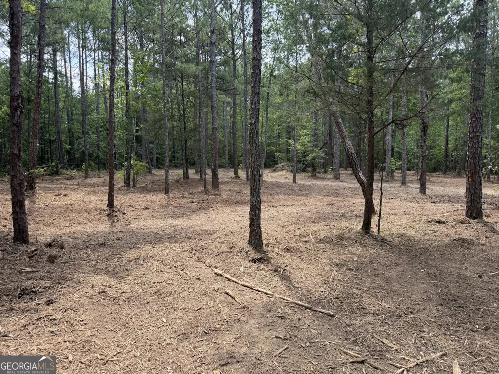 0 S Highway 92 Fayetteville, GA 30215