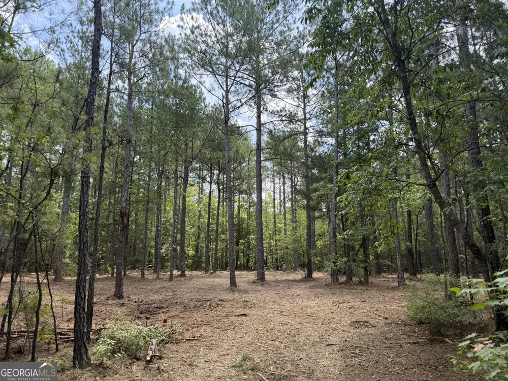 0 S Highway 92 Fayetteville, GA 30215