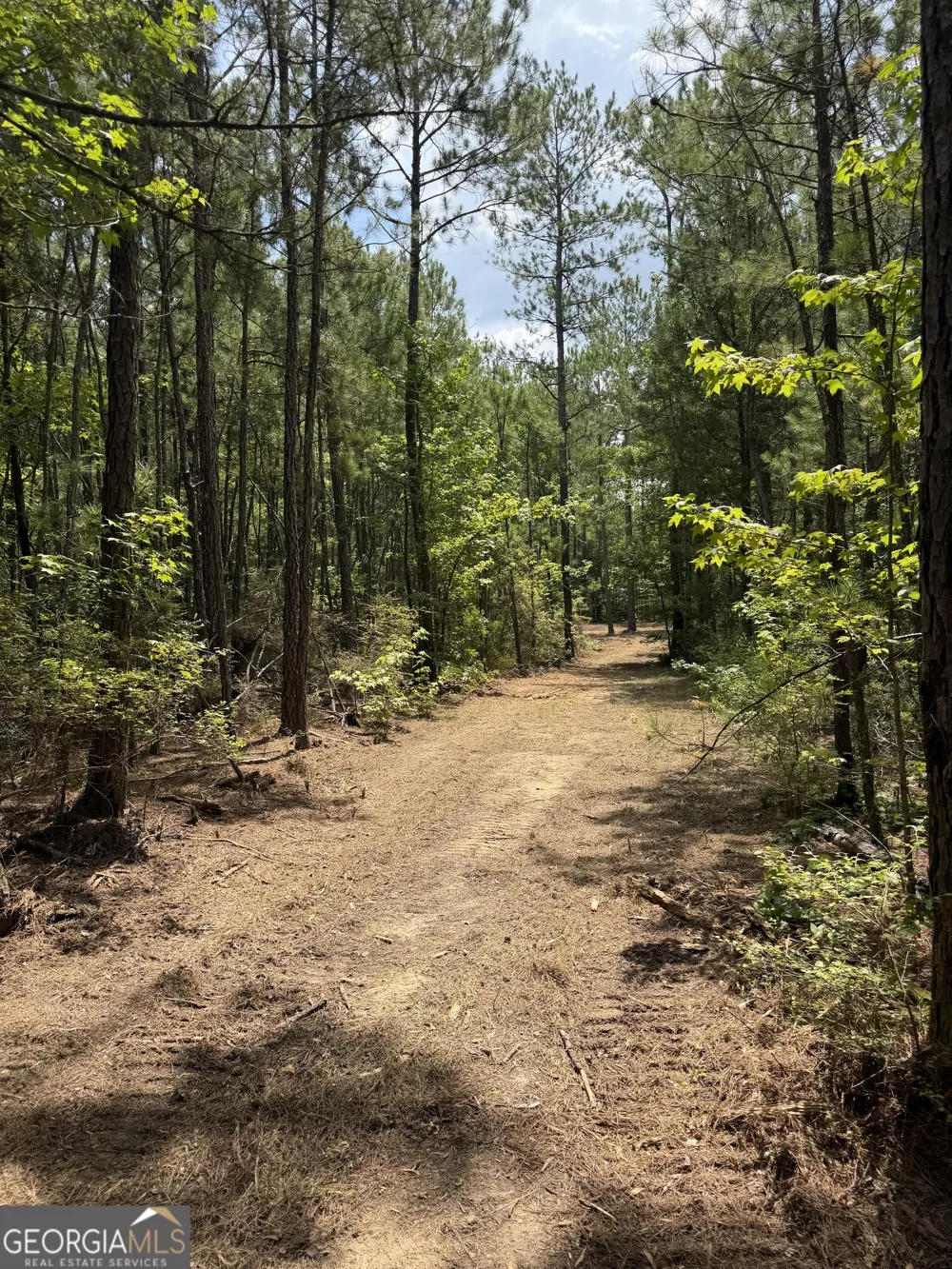 0 S Highway 92 Fayetteville, GA 30215