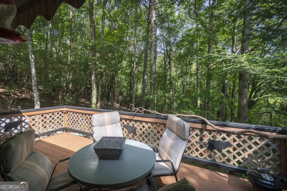7869 Highway 75 Alt Helen, GA 30545