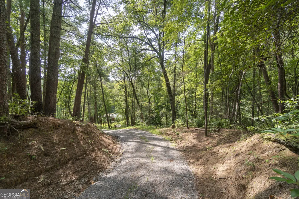 7869 Highway 75 Alt Helen, GA 30545