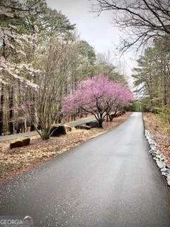 129 Mores Elm LOOP Waleska, GA 30183