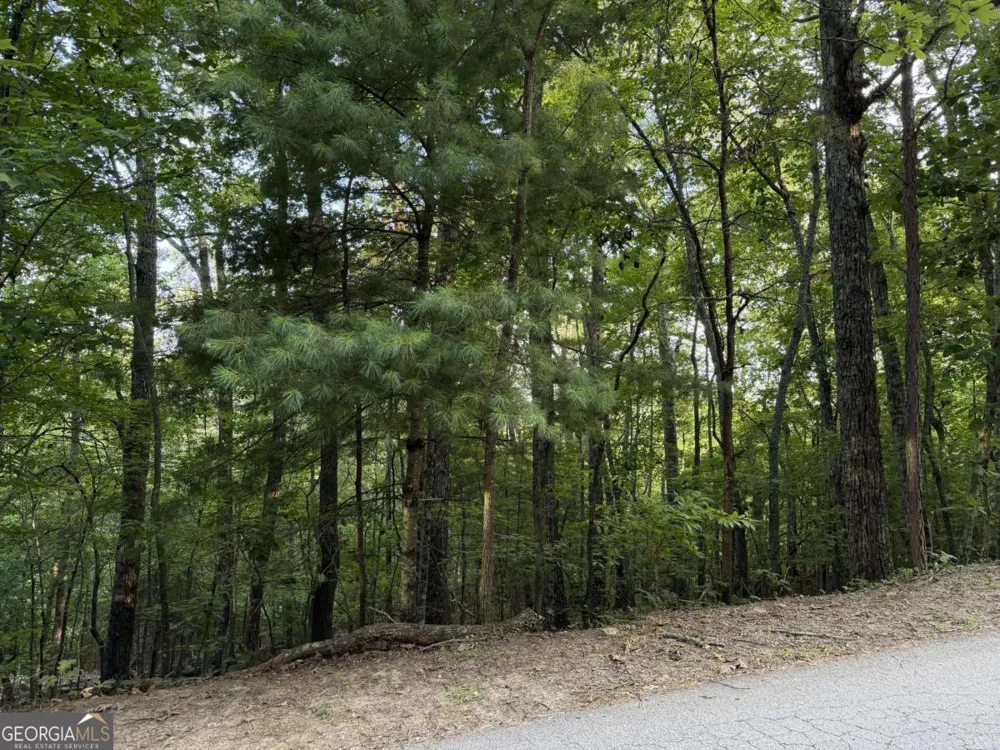 LOT 46 Fox Run DR Blue Ridge, GA 30513