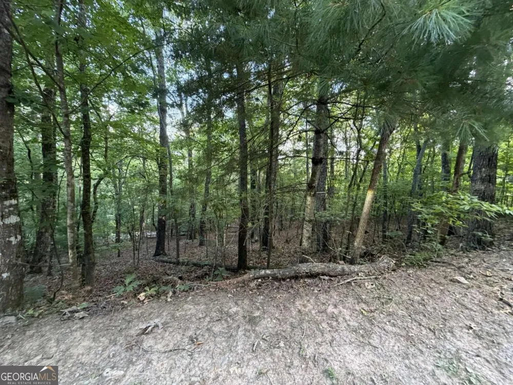 LOT 46 Fox Run DR Blue Ridge, GA 30513