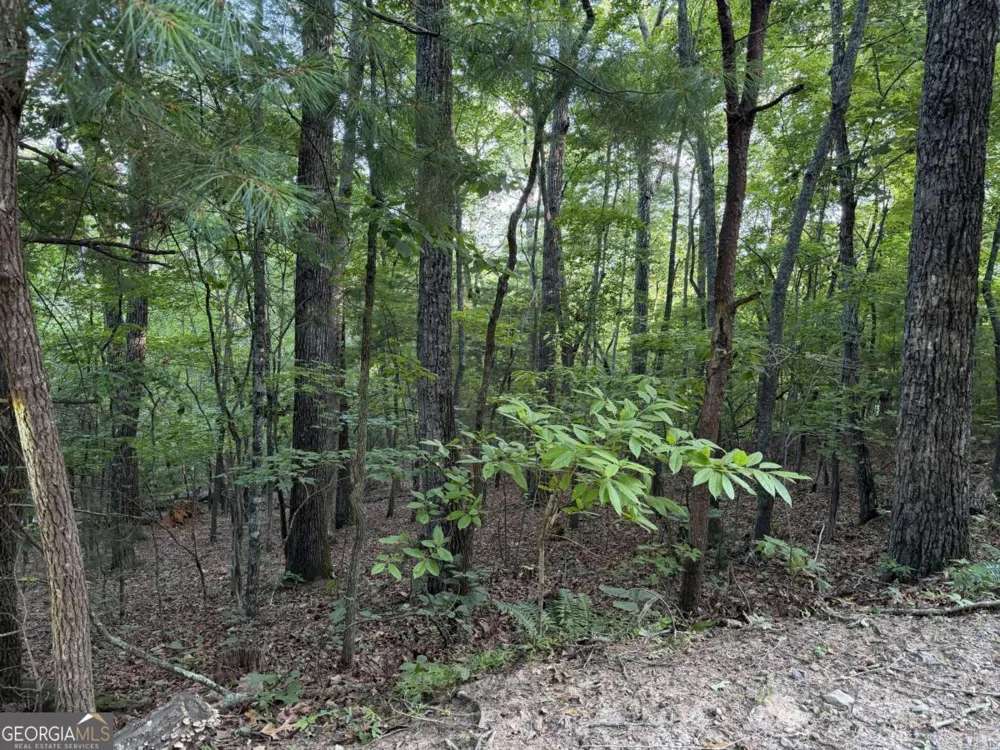 LOT 46 Fox Run DR Blue Ridge, GA 30513