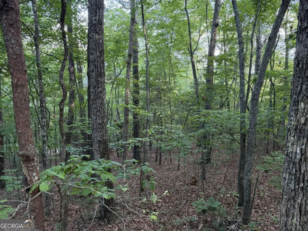 LOT 46 Fox Run DR Blue Ridge, GA 30513