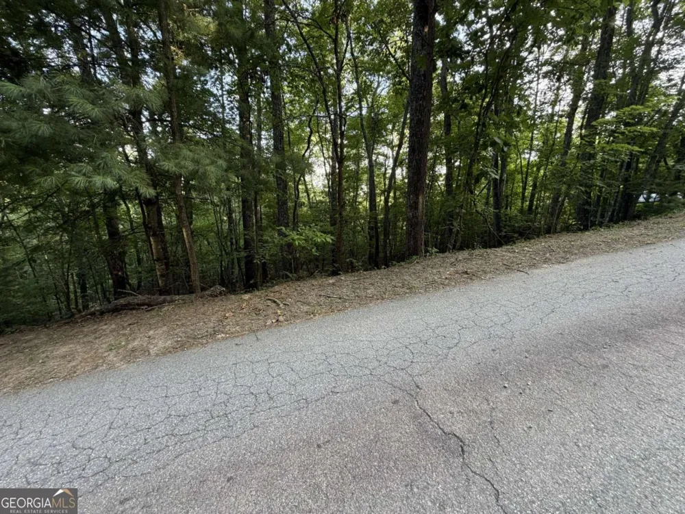LOT 46 Fox Run DR Blue Ridge, GA 30513