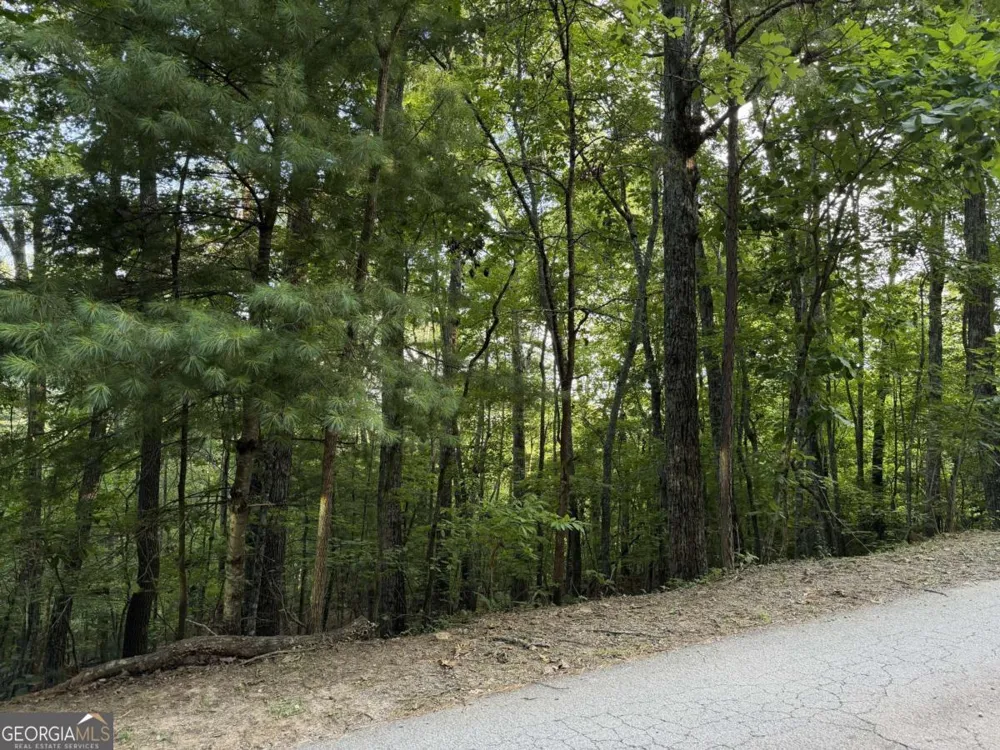 LOT 46 Fox Run DR Blue Ridge, GA 30513
