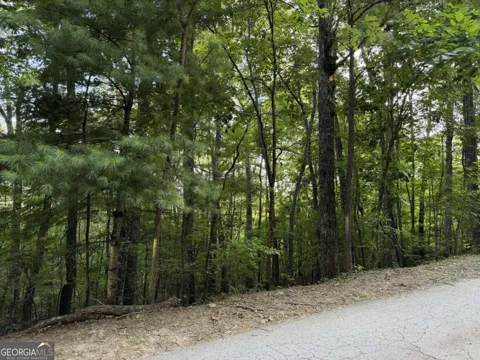 LOT 46 Fox Run DR