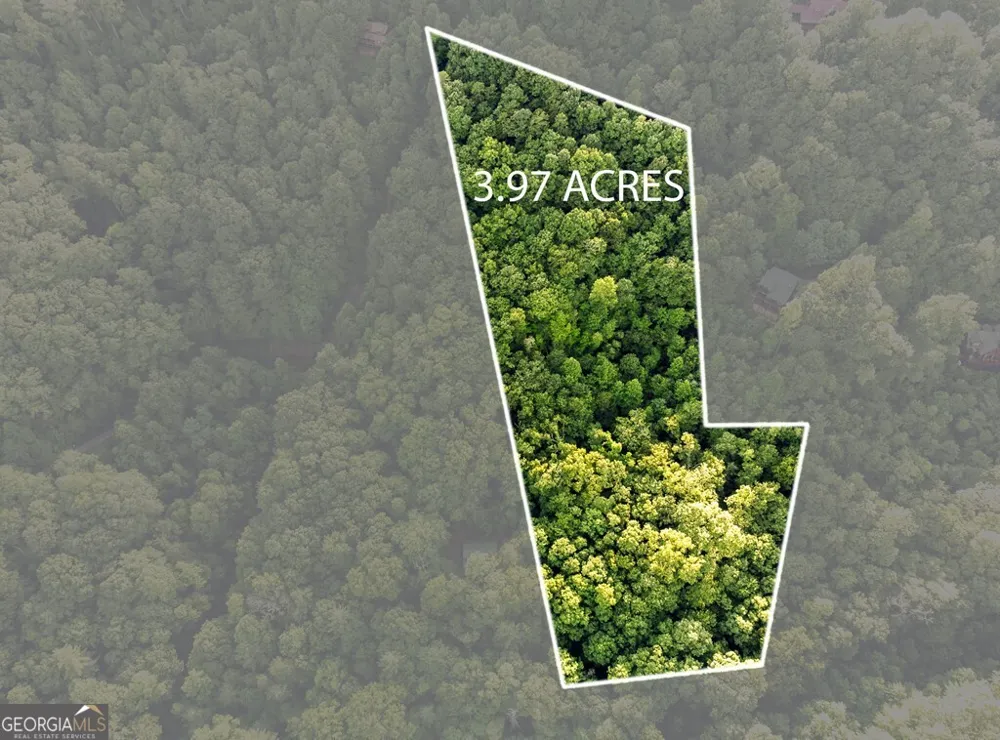 LOT 18 Cub TRL Cherry Log, GA 30522