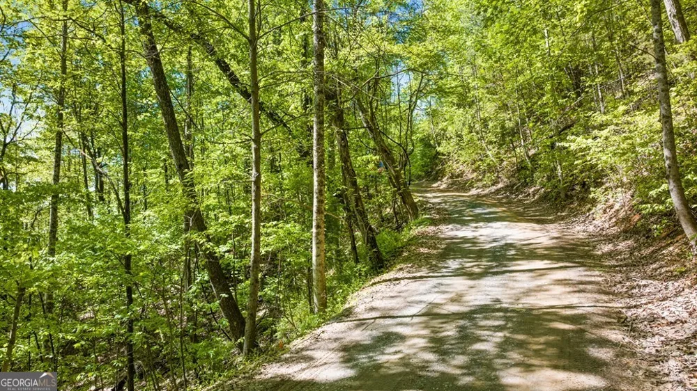 LOT 18 Cub TRL Cherry Log, GA 30522