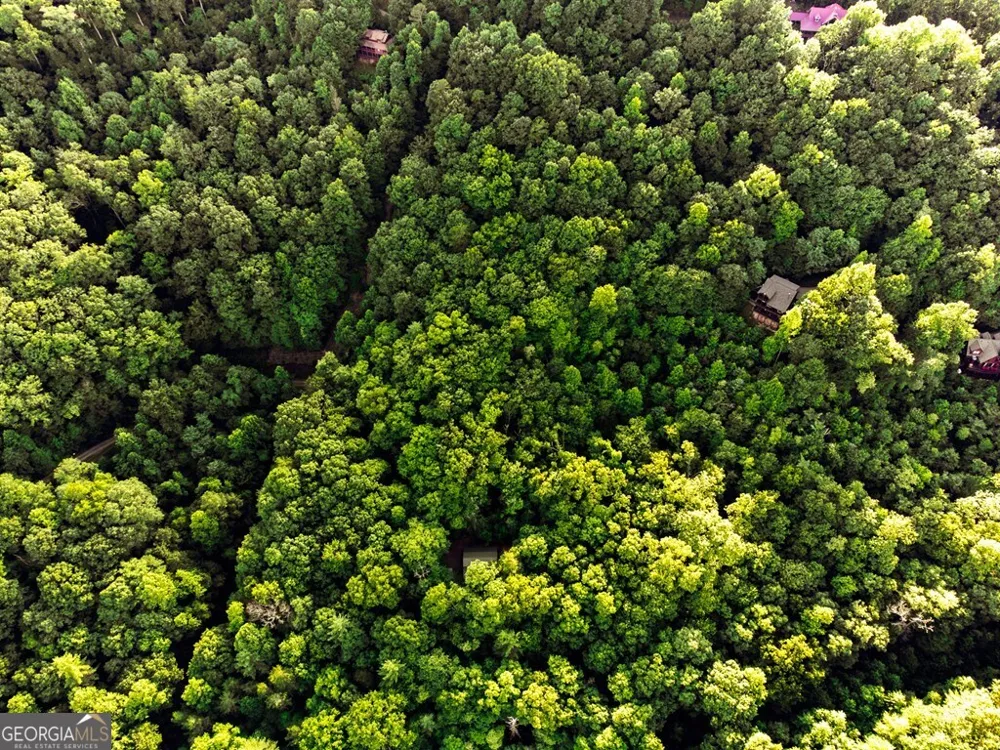 LOT 18 Cub TRL Cherry Log, GA 30522