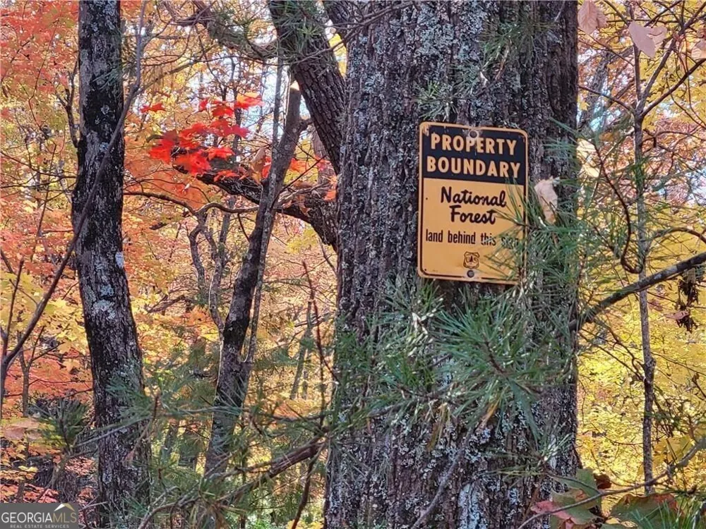 LOT 18 Cub TRL Cherry Log, GA 30522