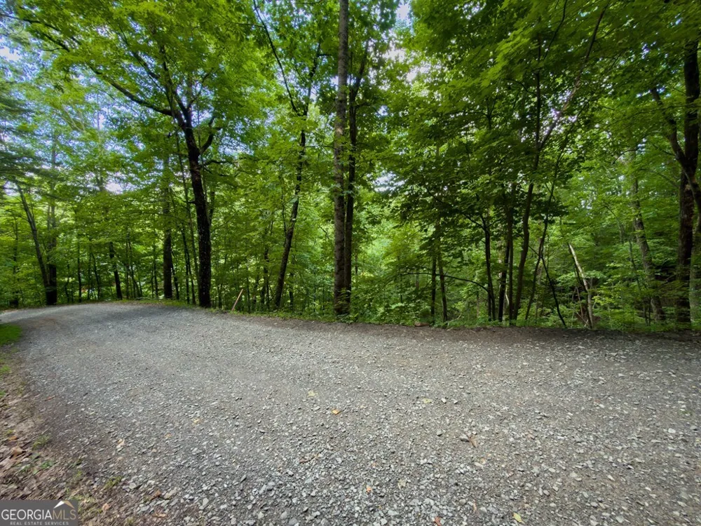 LOT 18 Cub TRL Cherry Log, GA 30522