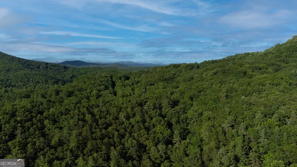 LOT 18 Cub TRL Cherry Log, GA 30522