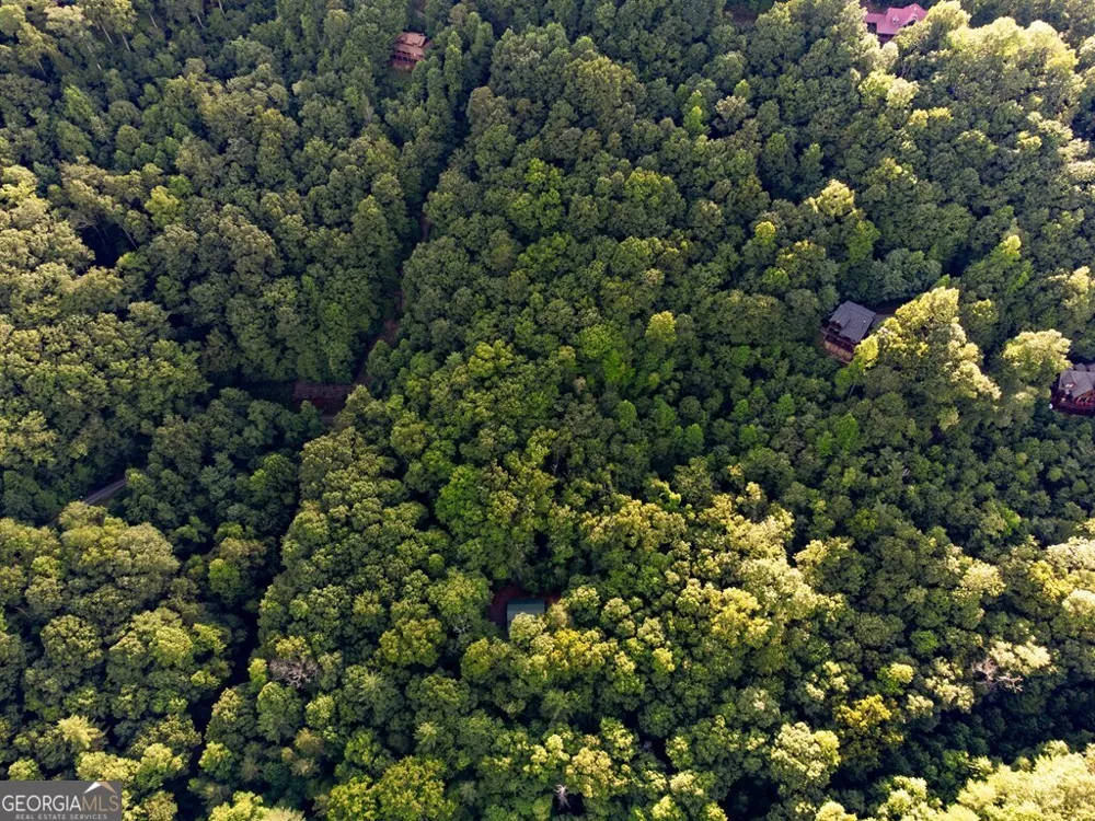 LOT 18 Cub TRL Cherry Log, GA 30522