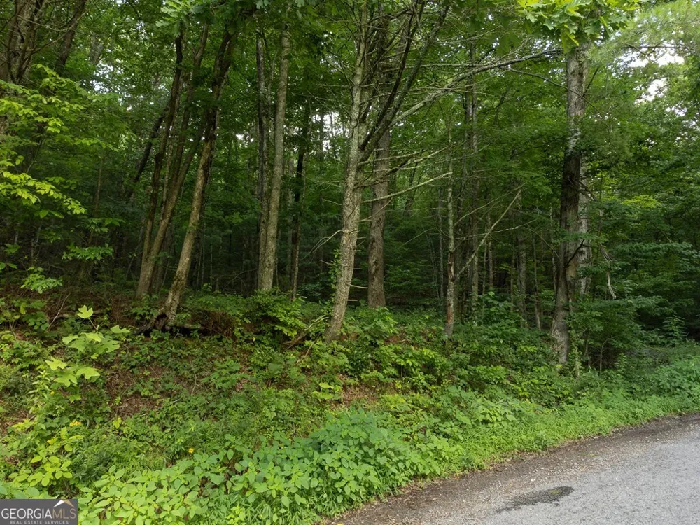 LOT 18 Cub TRL Cherry Log, GA 30522