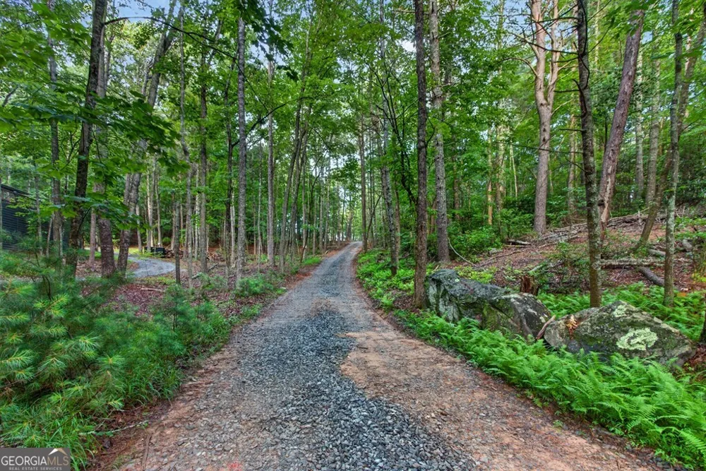 LOT 3C Stanley Creek RD Cherry Log, GA 30522