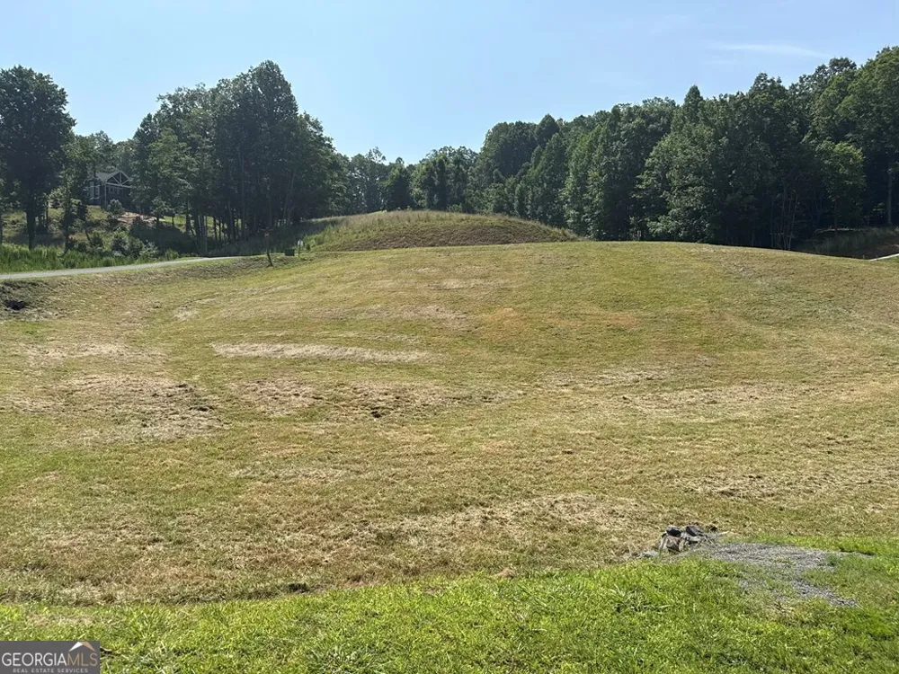LOT 29 Big Valley Overlook Morganton, GA 30560