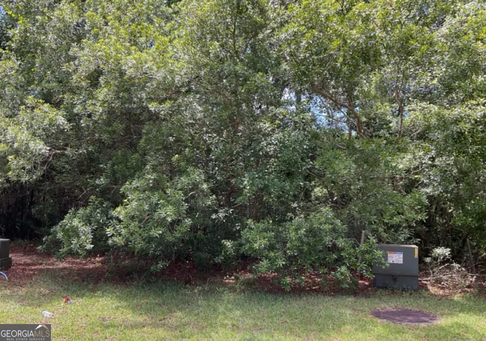 LOT 706 Mooring Lane St. Marys, GA 31558