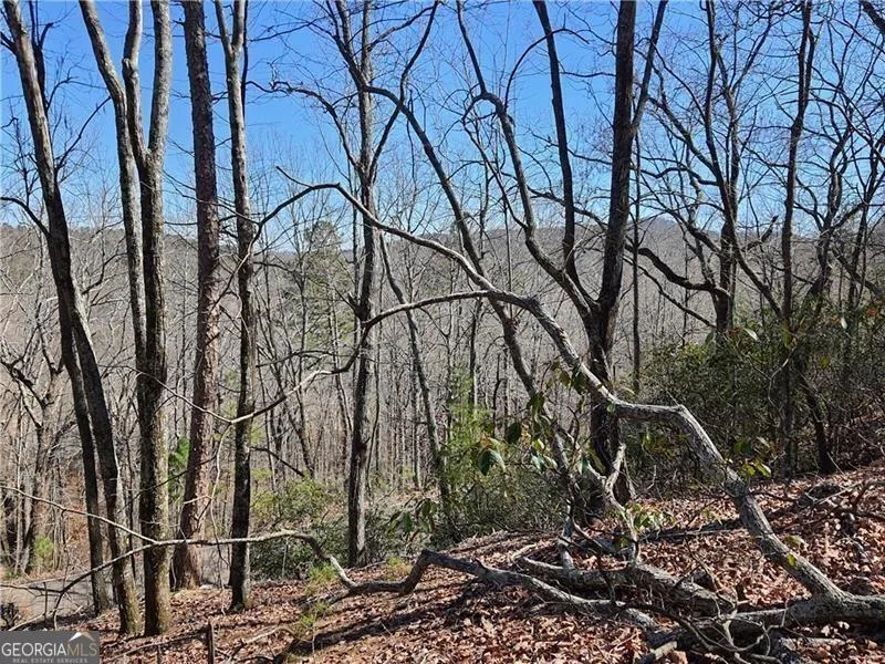 2538 Turnbury LN Jasper, GA 30143