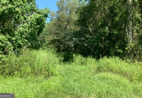 LOT 62 Burnt Fort RD
