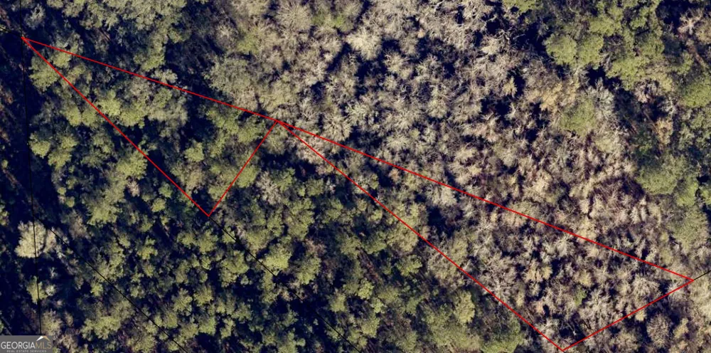 LOT 62 Burnt Fort RD White Oak, GA 31568