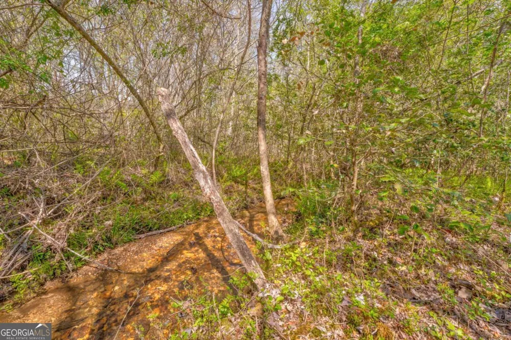 365 Waters RD McCaysville, GA 30555
