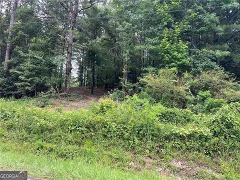 3963 Dabbs Bridge RD
