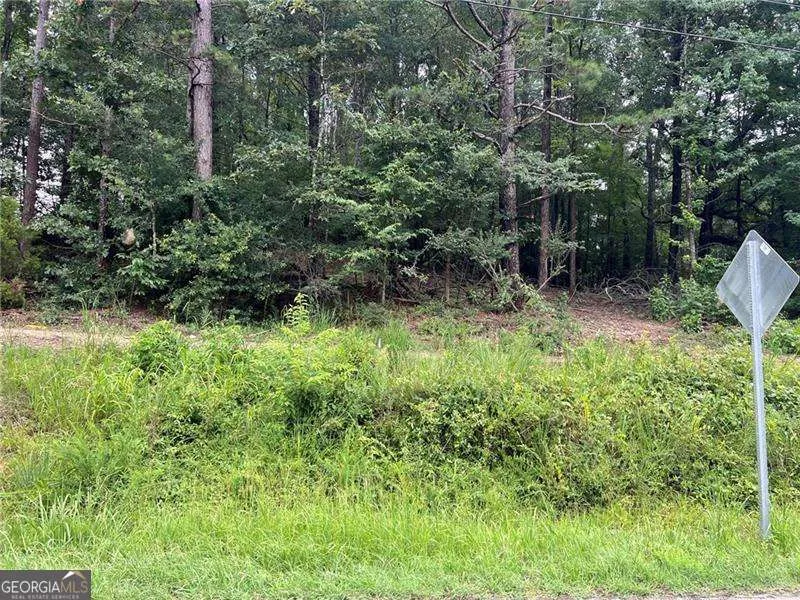 3963 Dabbs Bridge RD Acworth, GA 30101