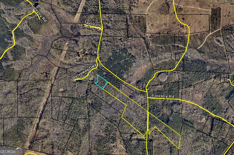 LOT 31 Burnt Fort Folkston, GA 31537