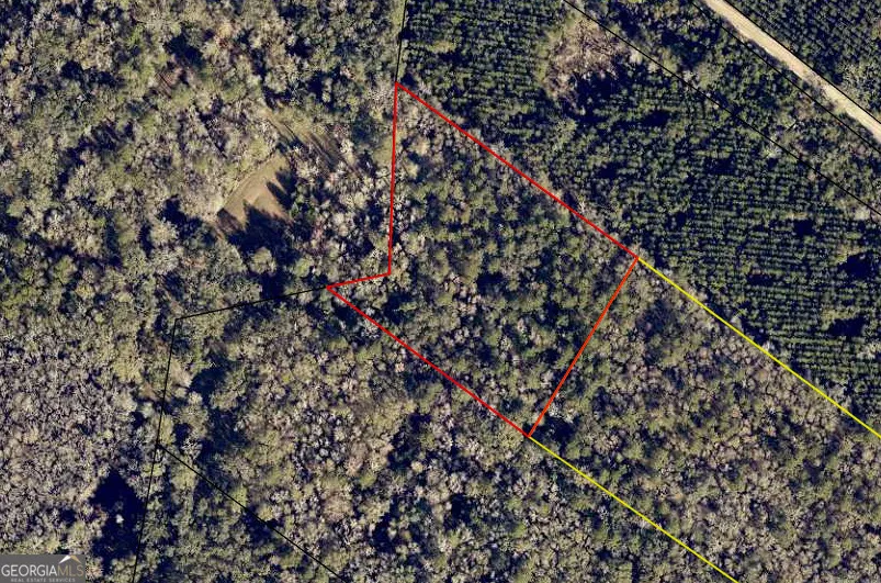 LOT 31 Burnt Fort Folkston, GA 31537
