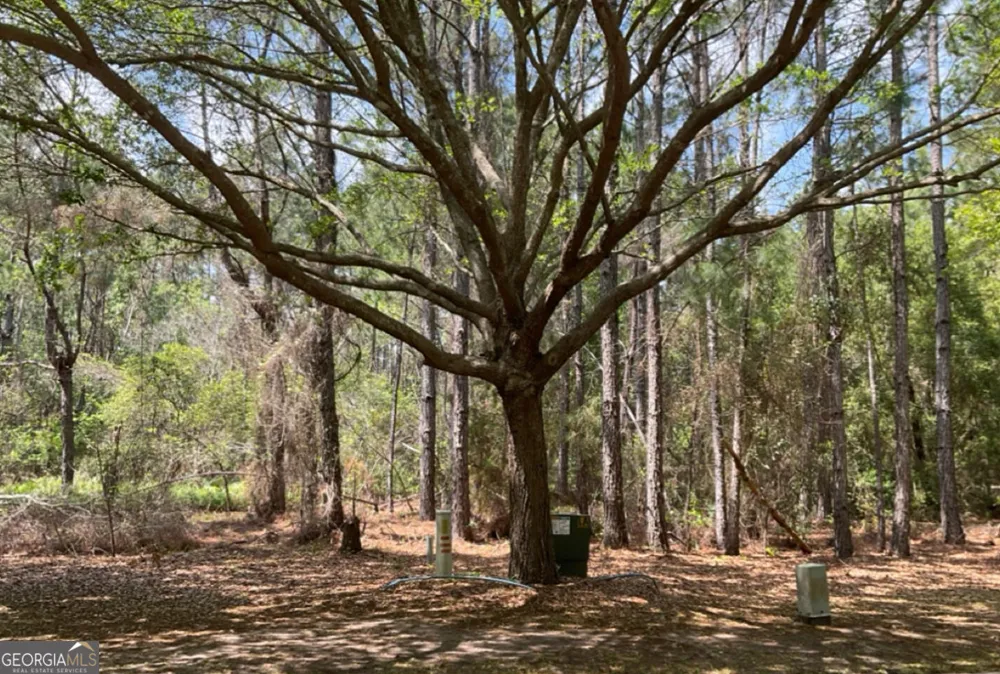 LOT 244 Lateral Buoy LN St. Marys, GA 31558