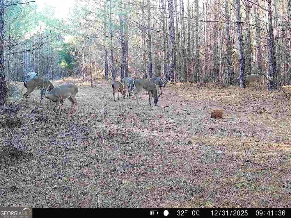 1208 Elberton RD Lexington, GA 30648