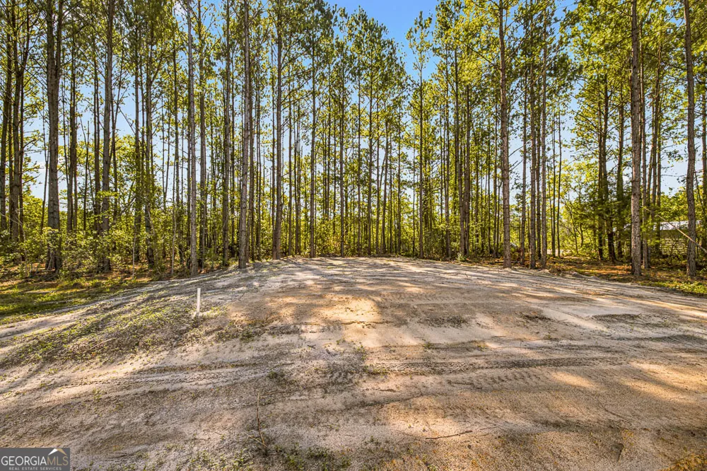 7299 Manningtown RD Jesup, GA 31546