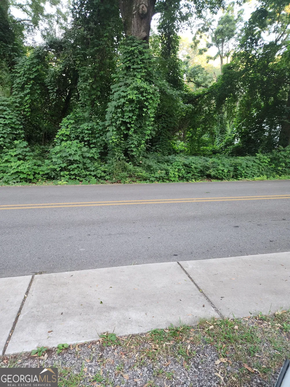 0 Pine ST Hogansville, GA 30230
