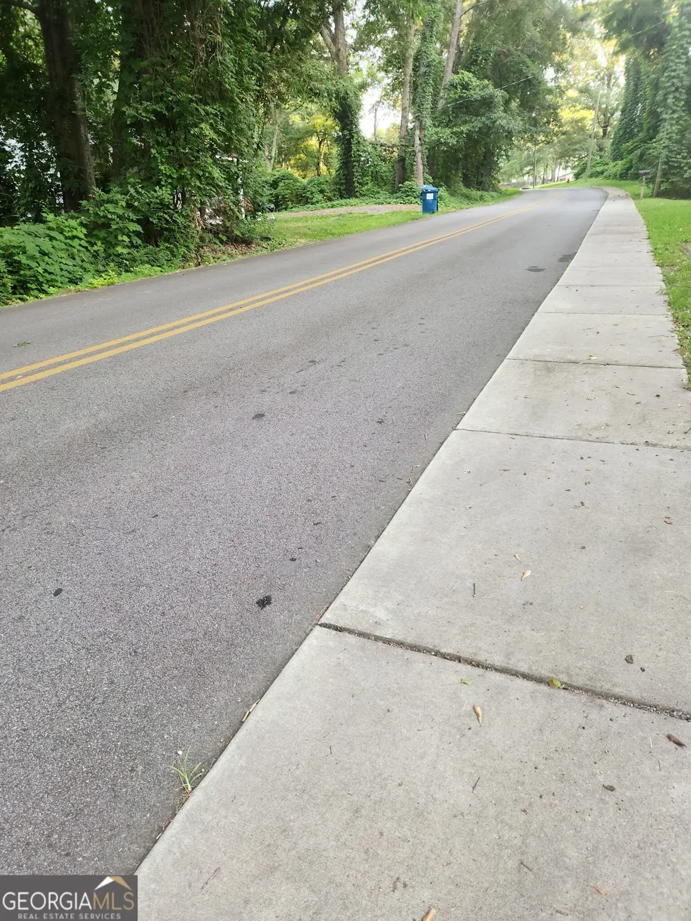 0 Pine ST Hogansville, GA 30230