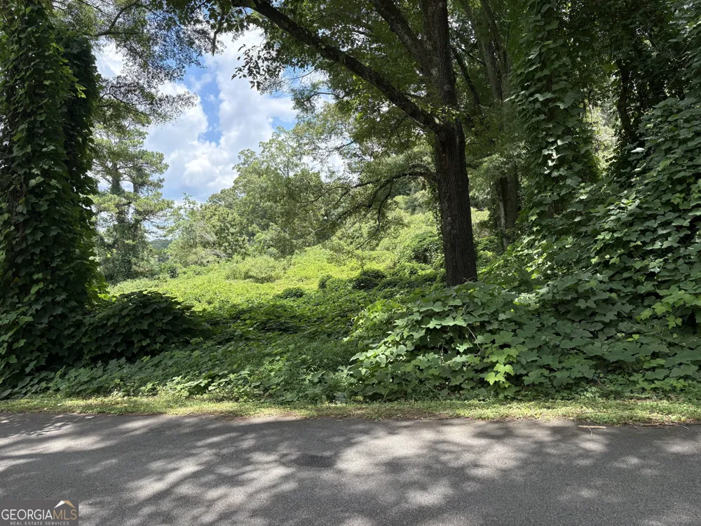 0 Pine ST Hogansville, GA 30230