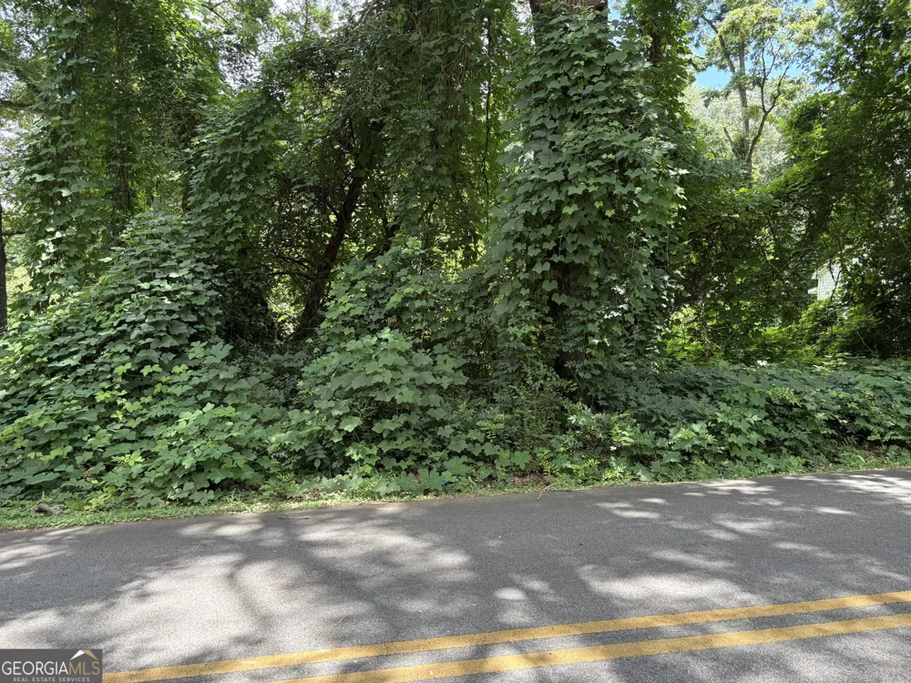 0 Pine ST Hogansville, GA 30230